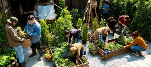 Landgoedblom sfeerfoto 2